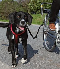 Trixie Sykkelsett DeLuxe (Springer)