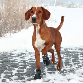 Trixie Walker Active Potesokker i nylon m/gummi - Bilde 4