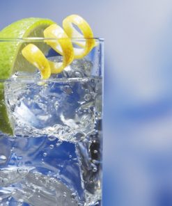 Alternative view of VIP London Gin spritessens
