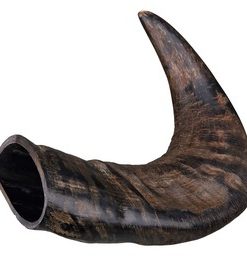 Trixie, Horn av bøffel