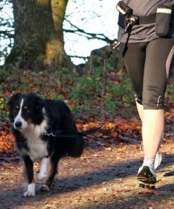 Alternative view of Trixie Joggebelte m/line og tasker
