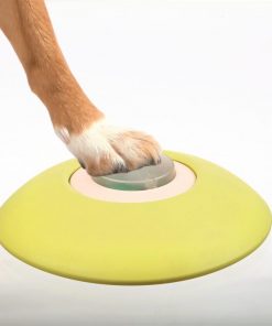 Trixie Memory Trainer Aktiverings leke 2.0 (level 3) - Bilde 5