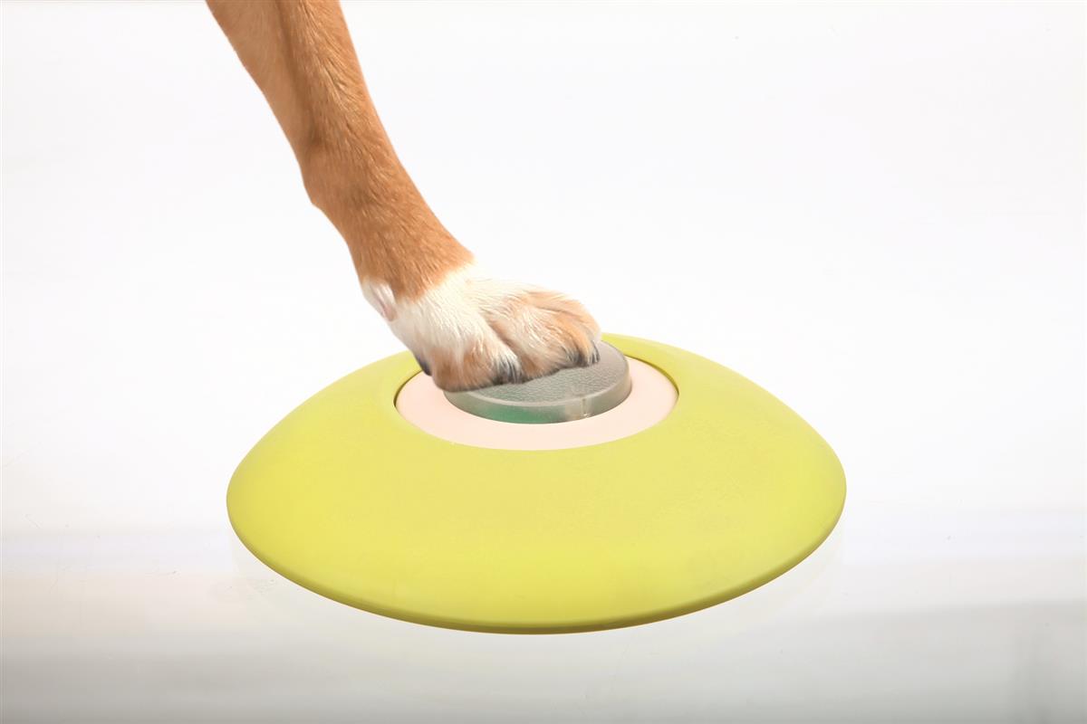 Trixie Memory Trainer Aktiverings leke 2.0 (level 3) - Bilde 5