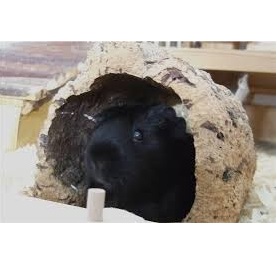 Trixie Kork- barktunnel - Bilde 3