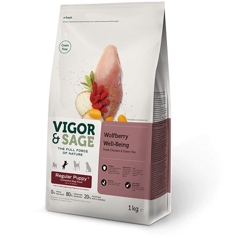 Vigor & Sage Valpe-Puppyfòr Goji Berry