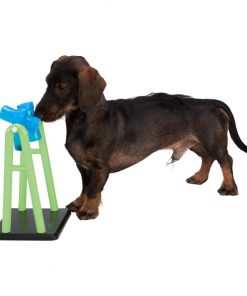 Alternative view of Trixie Dog Activity Turn Around, strategi spill