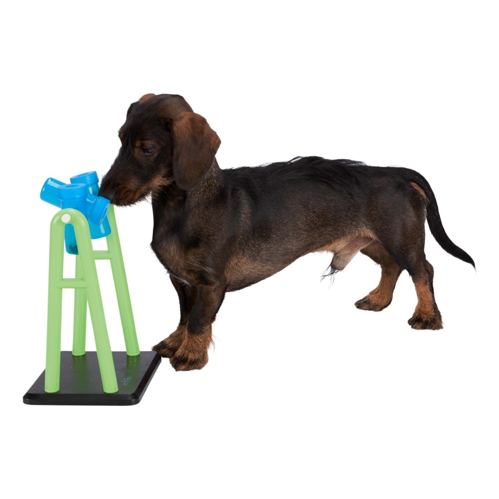 Trixie Dog Activity Turn Around, strategi spill - Bilde 2