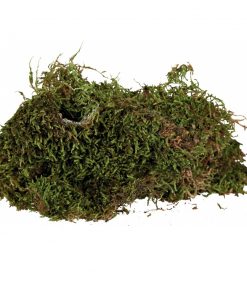 Alternative view of Trixie Reptiland Mose for terrarium