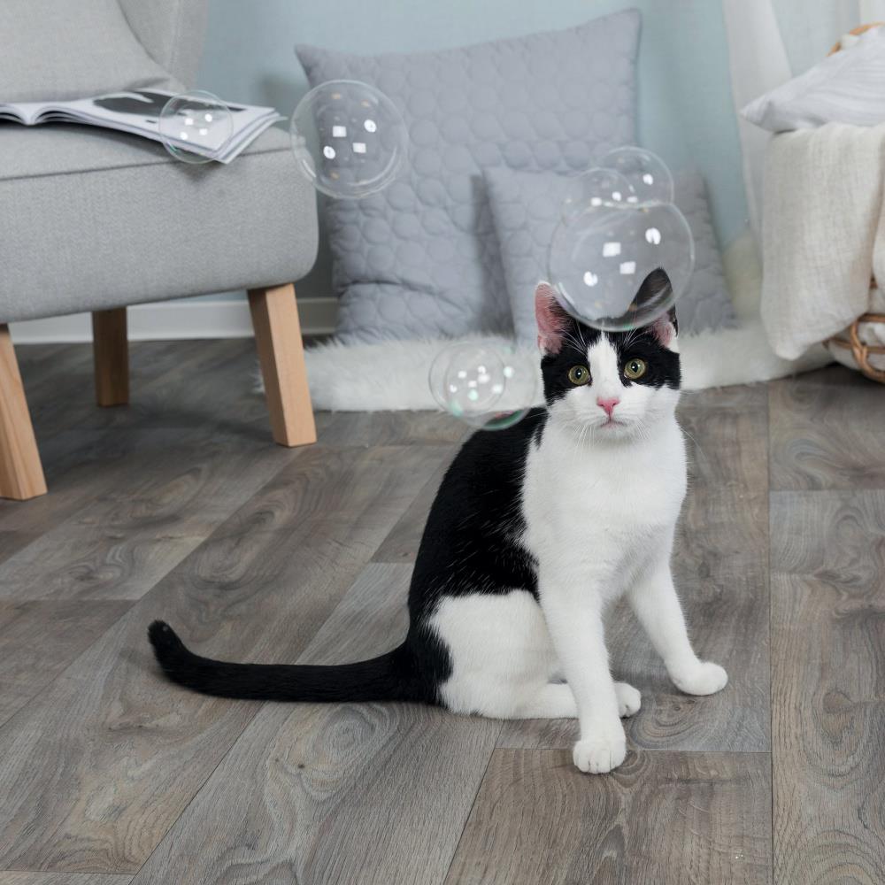 Catnipbobler til katten