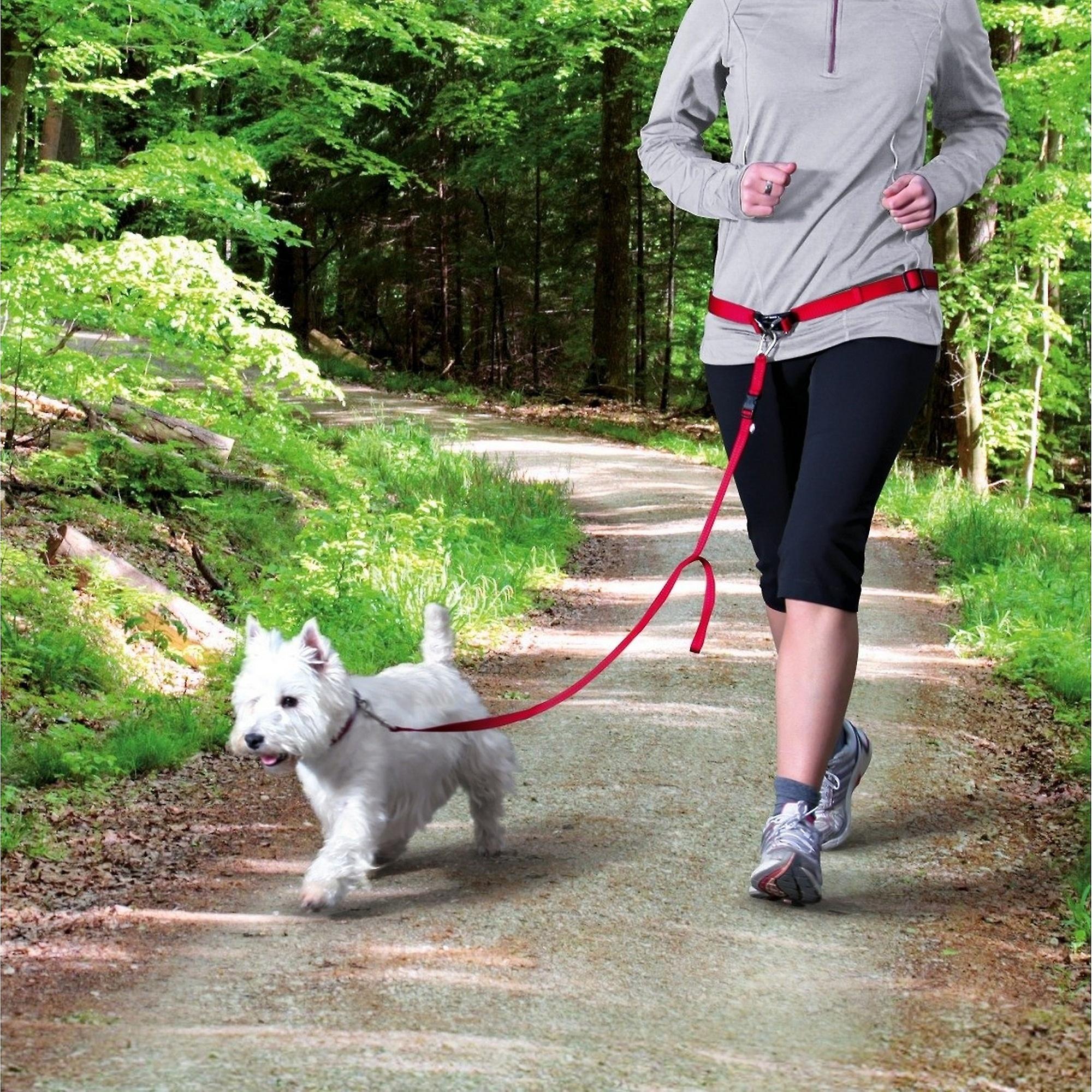 Trixie joggebelte m/line, rød/svart - Bilde 2