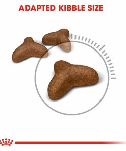 Alternative view of Royal Canin Light Weight Care