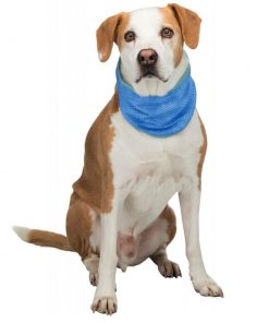 Trixie Kjølebandana