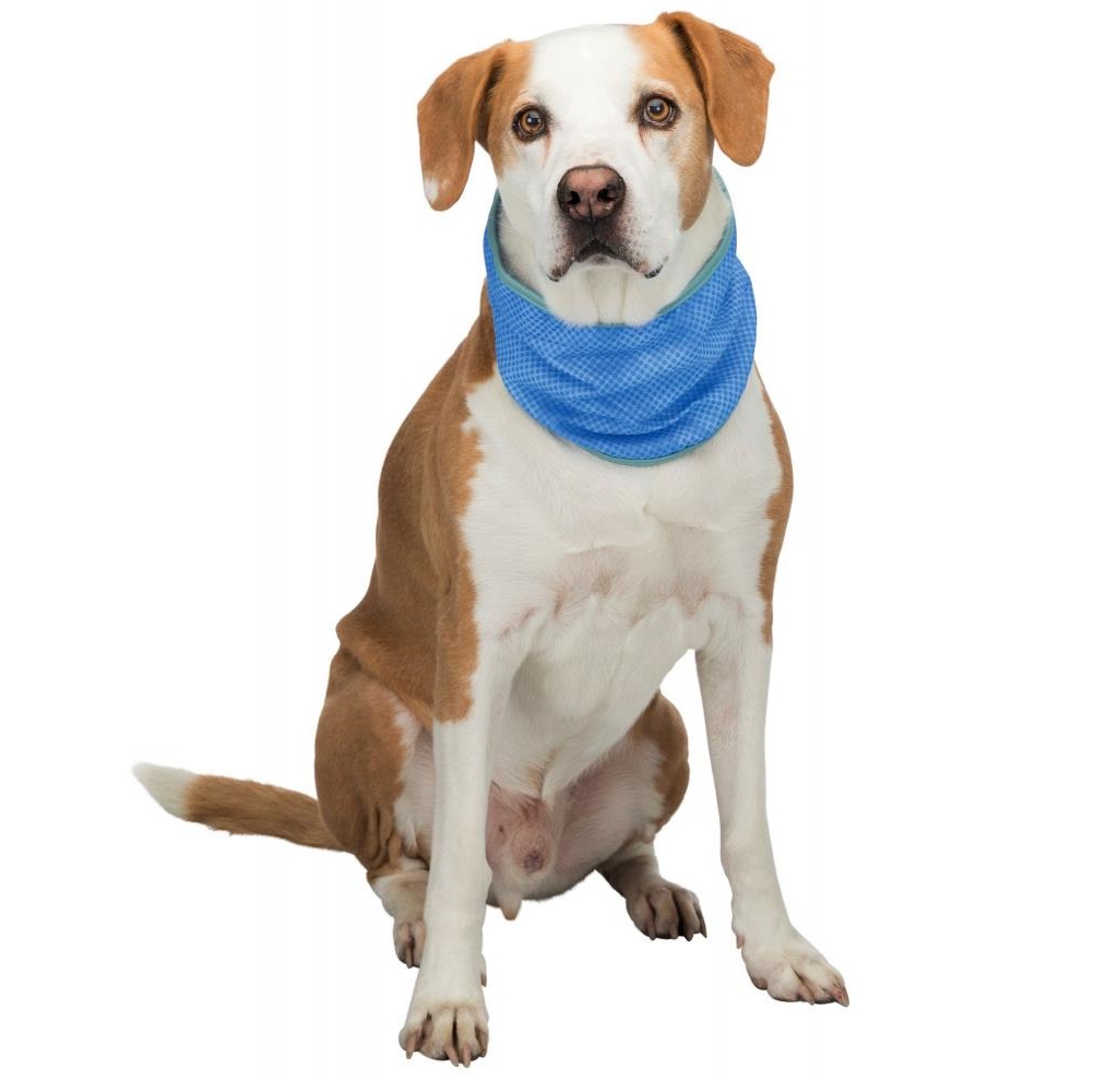 Trixie Kjølebandana