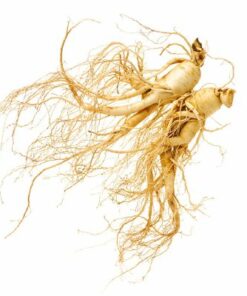 Alternative view of Vigor & Sage hundefòr Ginseng Well-Being