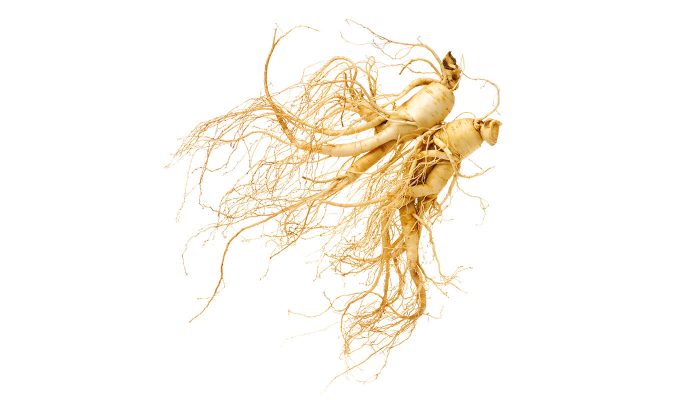 Vigor & Sage hundefòr Ginseng Well-Being - Bilde 2