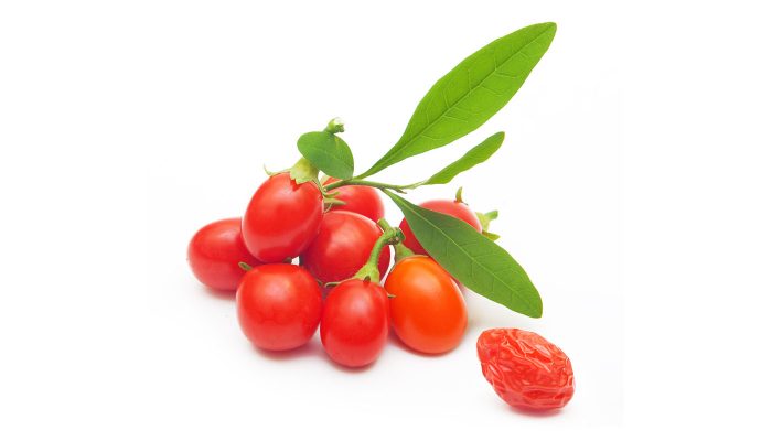 Vigor & Sage Valpe-Puppyfòr Goji Berry - Bilde 2