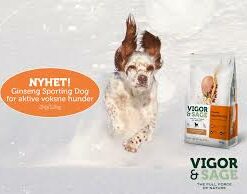 Vigor & Sage hundefòr Ginseng Sporting Active - Bilde 6