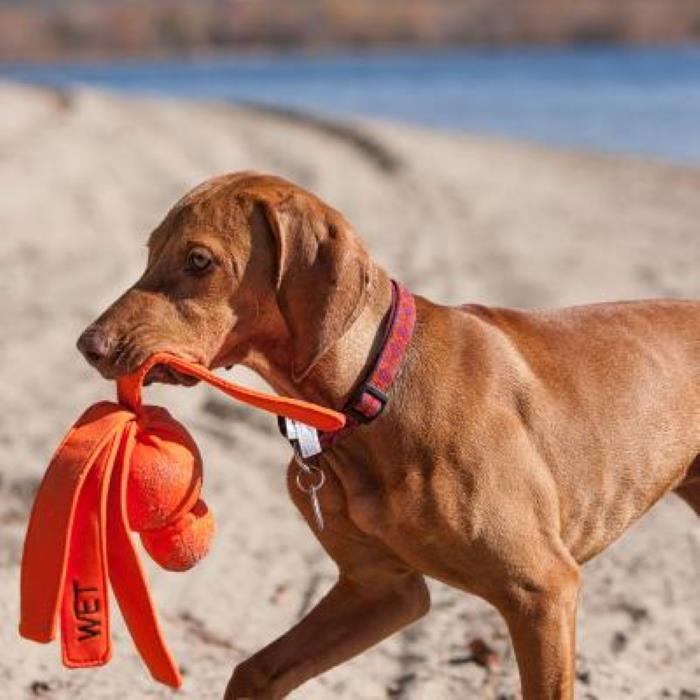 Kong Wubba Wet, flytende - Bilde 2
