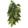 Trixie Reptiland Plastikkplante Ficus til Terrarium 20x50cm