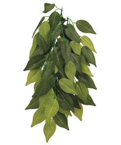 Trixie Reptiland Plastikkplante Ficus til Terrarium 20x50cm