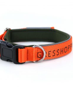 Gresshoppa Halsbånd - Begna - Bilde 5