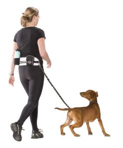 D&D Joggebelte m/line, Sports Active Walker