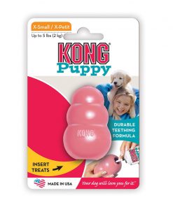 Alternative view of Kong Puppy