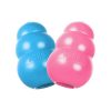 Kong Puppy