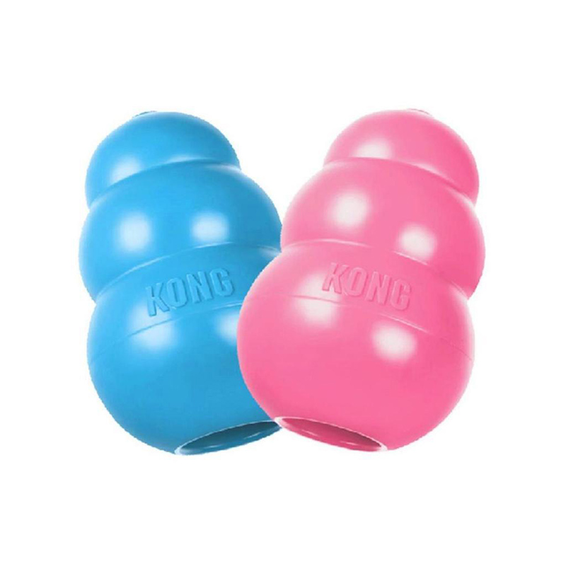 Kong Puppy