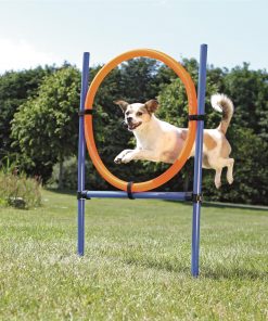 Agility Ring  1,15m x D: 65cm Blå/Oransje