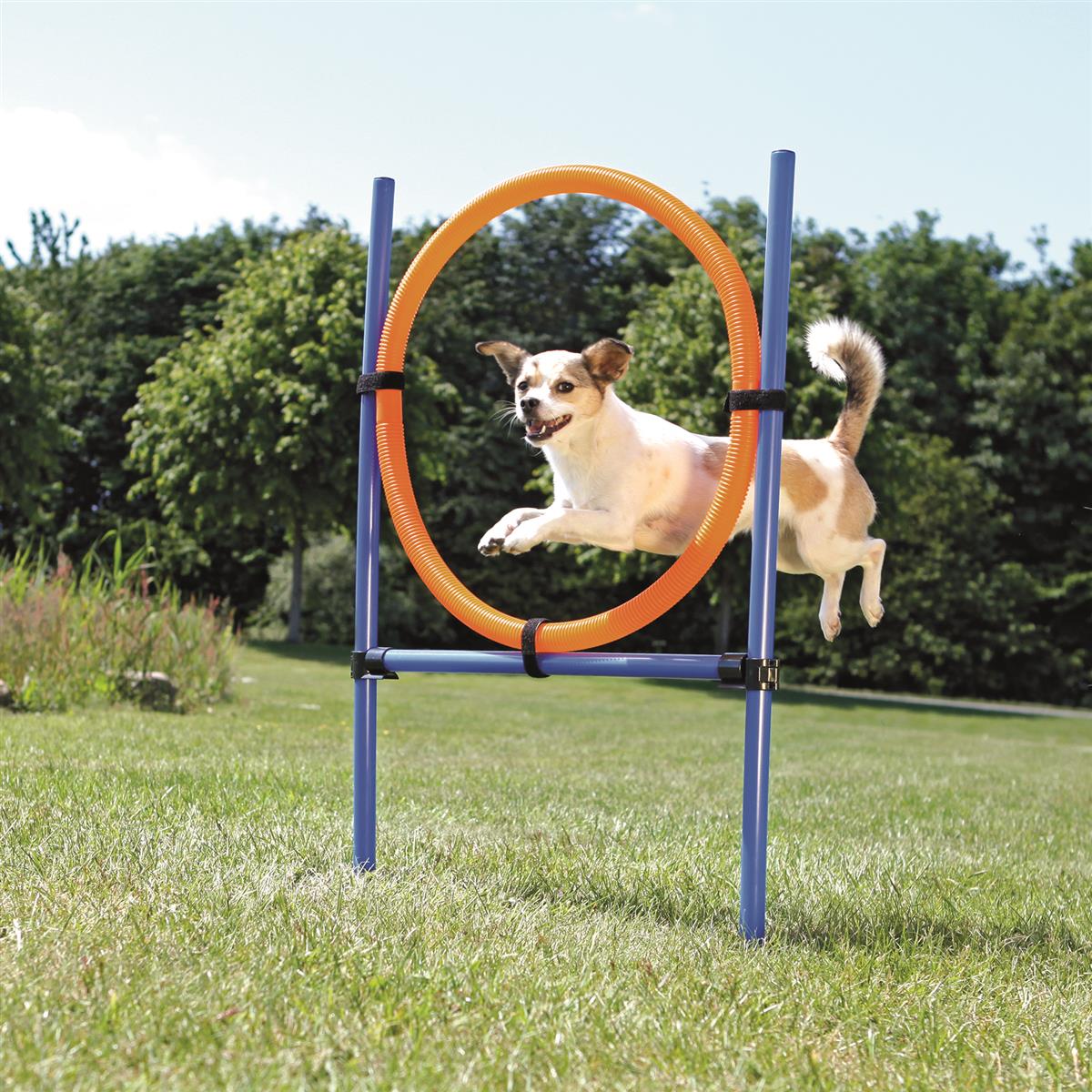Agility Ring 1,15m x D: 65cm Blå/Oransje