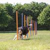 Agility Slalåm Hinder  12stk 1,15m x D:3,3cm Blå/Oransje