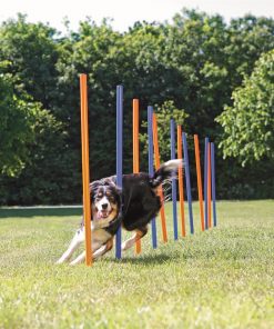 Agility Slalåm Hinder  12stk 1,15m x D:3,3cm Blå/Oransje