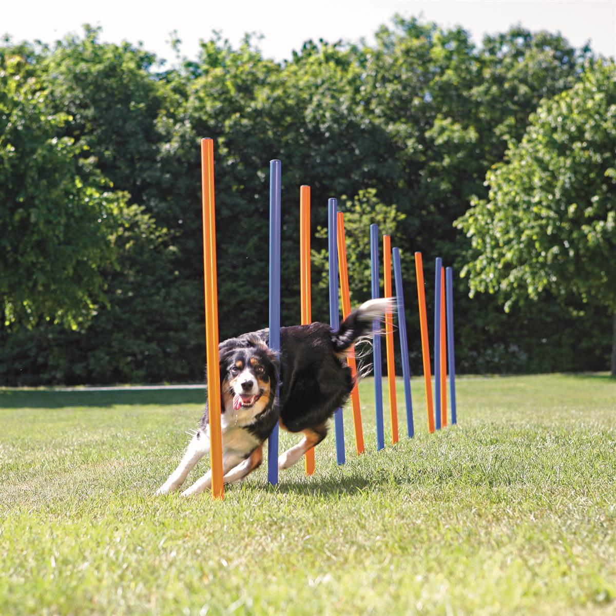 Agility Slalåm Hinder 12stk 1,15m x D:3,3cm Blå/Oransje