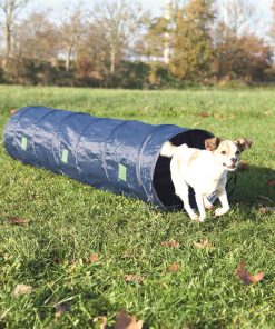 Agility Tunnel  2m / 40cm