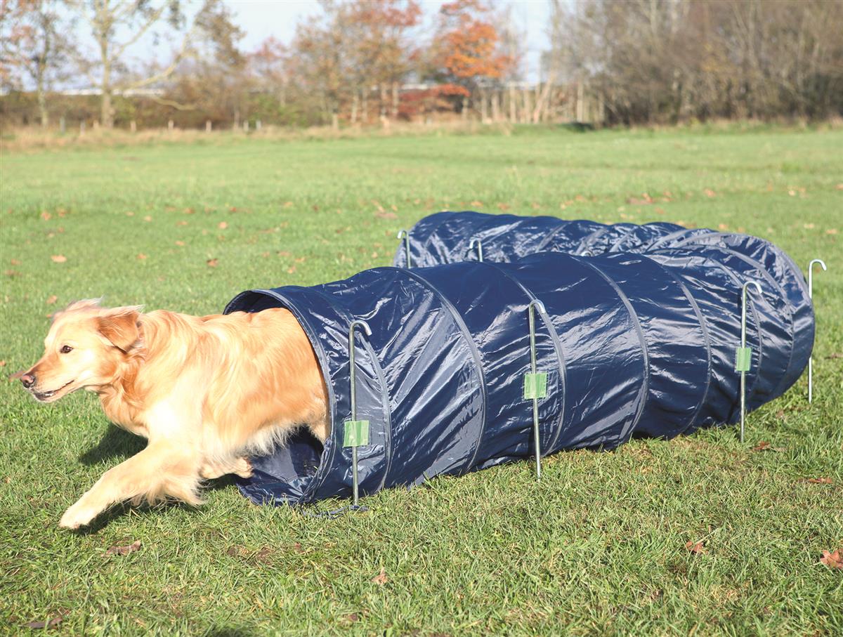 Agility Tunnel, 5m / 60cm Mørk Blå