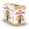 Royal Canin Våtfor - British Shorthair Adult WET, 85g
