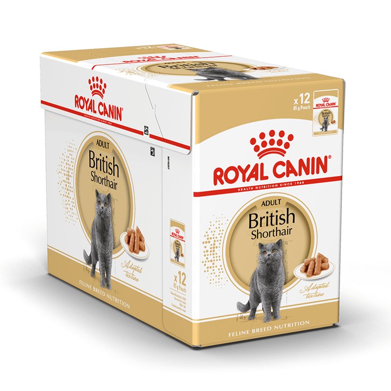 Royal Canin Våtfor - British Shorthair Adult WET, 85g