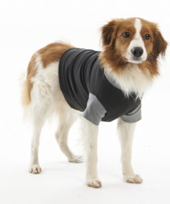 Body Suit EasyGo til for tisper og hannhunder - Bilde 4