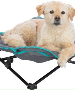 Hundeseng, Campingseng