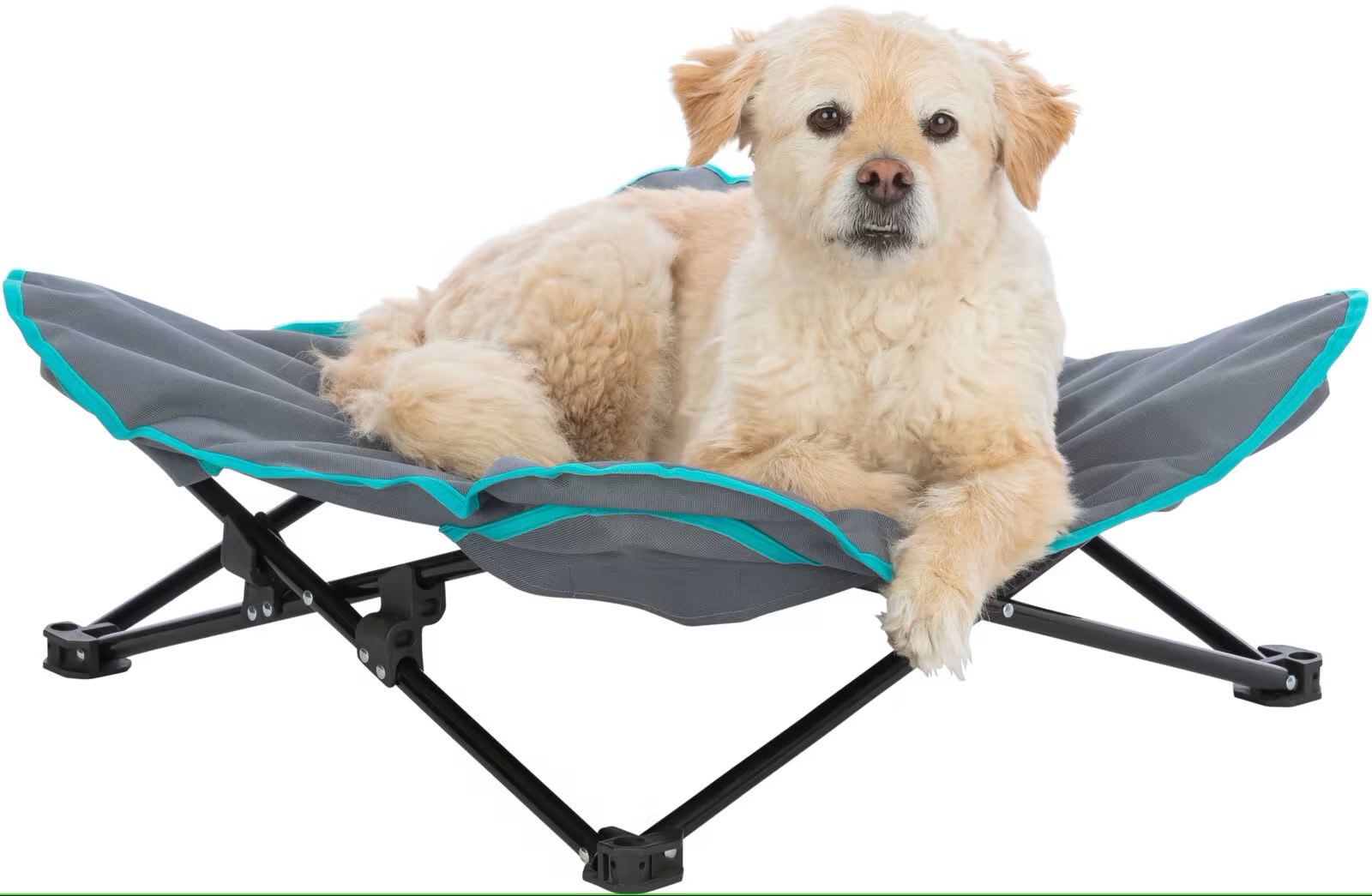 Hundeseng, Campingseng