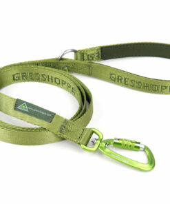 Gresshoppa Lågen Kobbel/leiebånd 170cm - Bilde 4