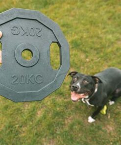 Hundeleke - Ebi "BiteMe" - "20kg" vektskive - Bilde 3
