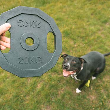 Hundeleke - Ebi "BiteMe" - "20kg" vektskive - Bilde 3