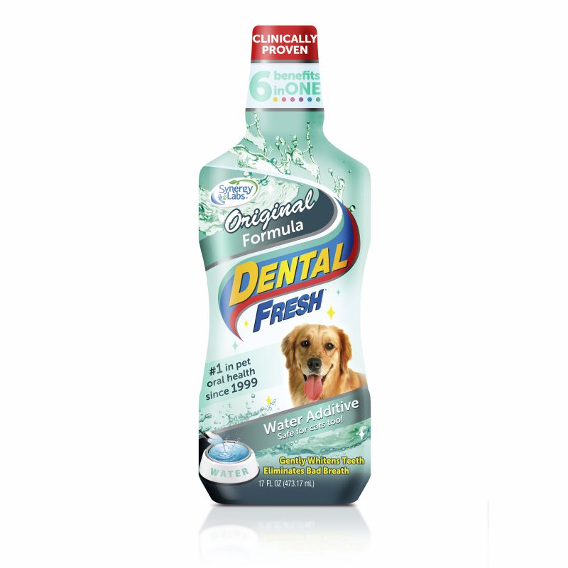 Dental Fresh Dog