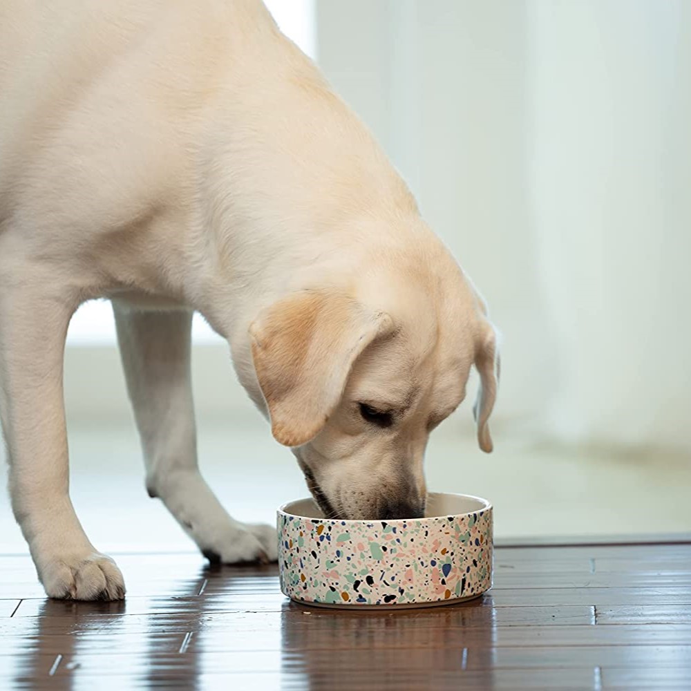 Dental Fresh Dog - Bilde 2