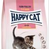 Happy Cat Kitten Fugl (fra 5 UKER TIL 6 MND)