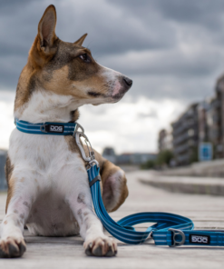 Alternative view of Dog Copenhagen - Urban Style Halsbånd - Grønn