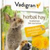 Urtehøy med løvetann