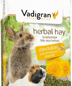 Urtehøy med løvetann